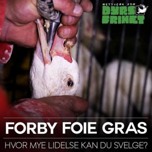 Forby Foie Gras