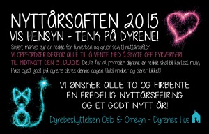 Nyttår2015 (1)
