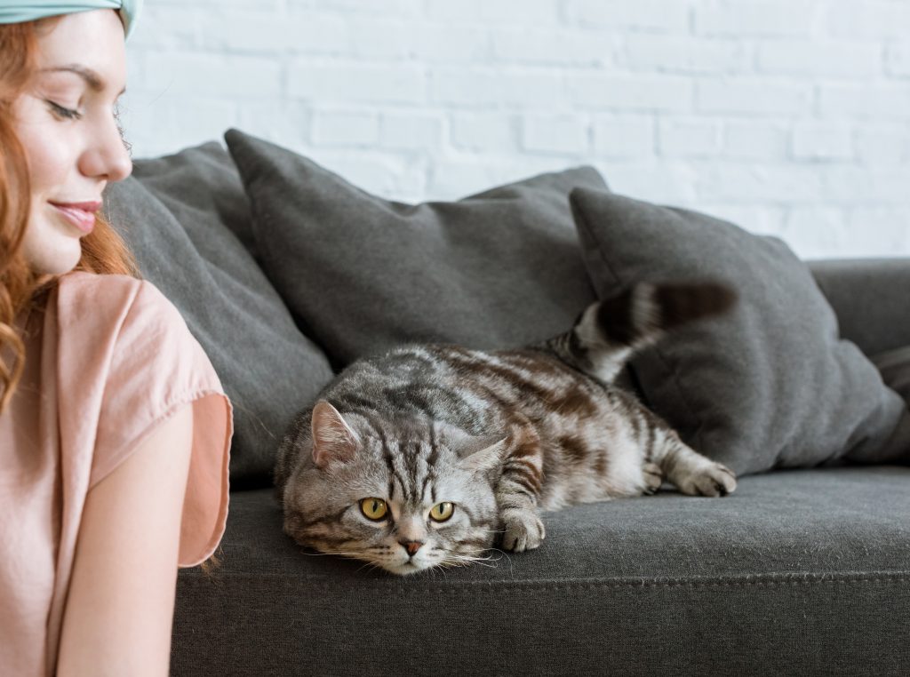 En katt på sofaen og en kvinne på gulvet foran.