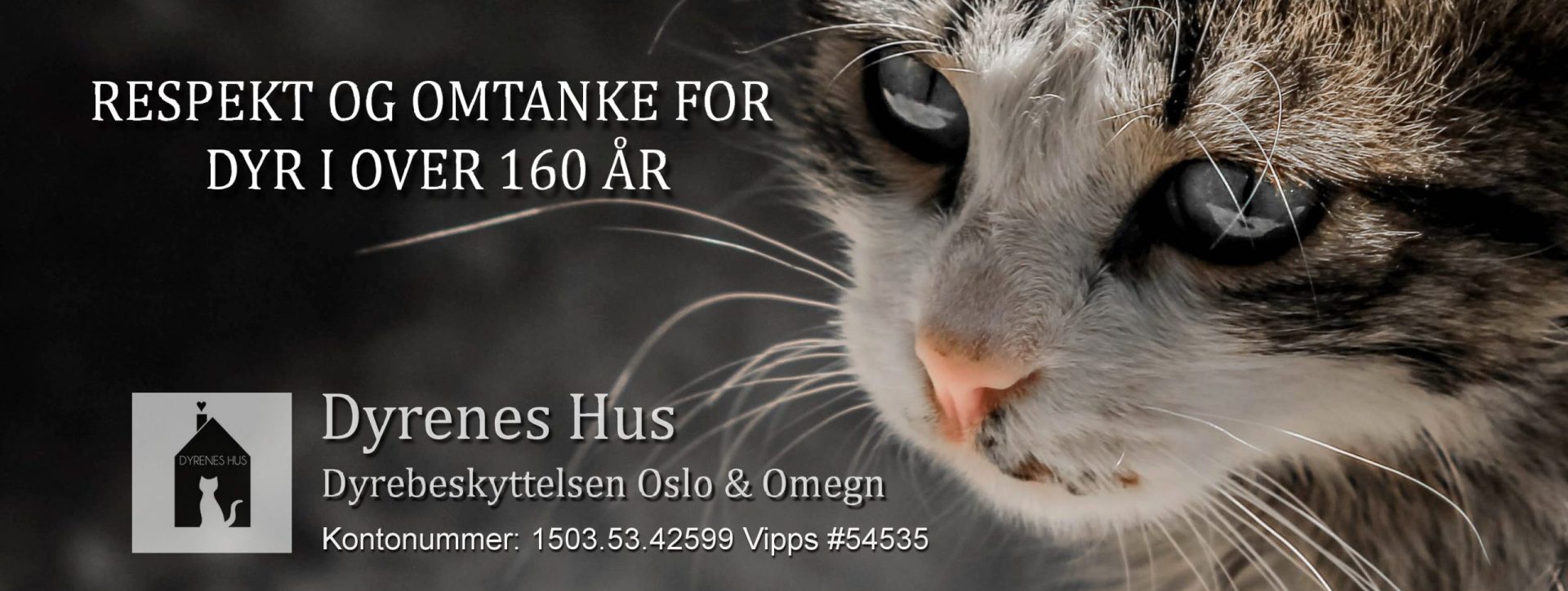 Dyrebeskyttelsen Oslo & Omegn – Dyrenes Hus